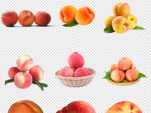 免扣黄桃素材 为生活与工作注入新鲜活力